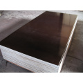 Modern waterproof shuttering construction plywood from chinese factory